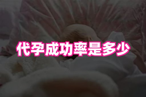 点点助孕网 1