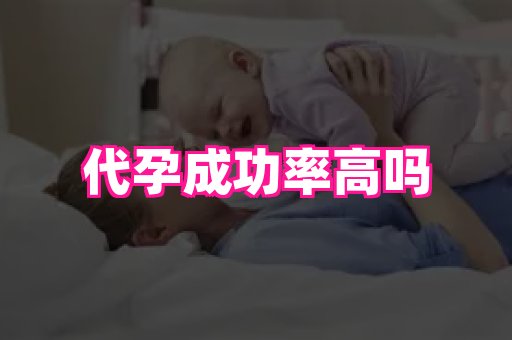 点点助孕网 2