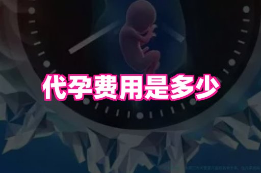 点点助孕网 3