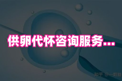 点点助孕网 4